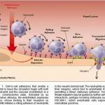 Leucocyte Adhesion Deficiency in Harrison 17th and 18th Editions : Operation Harri Capsule